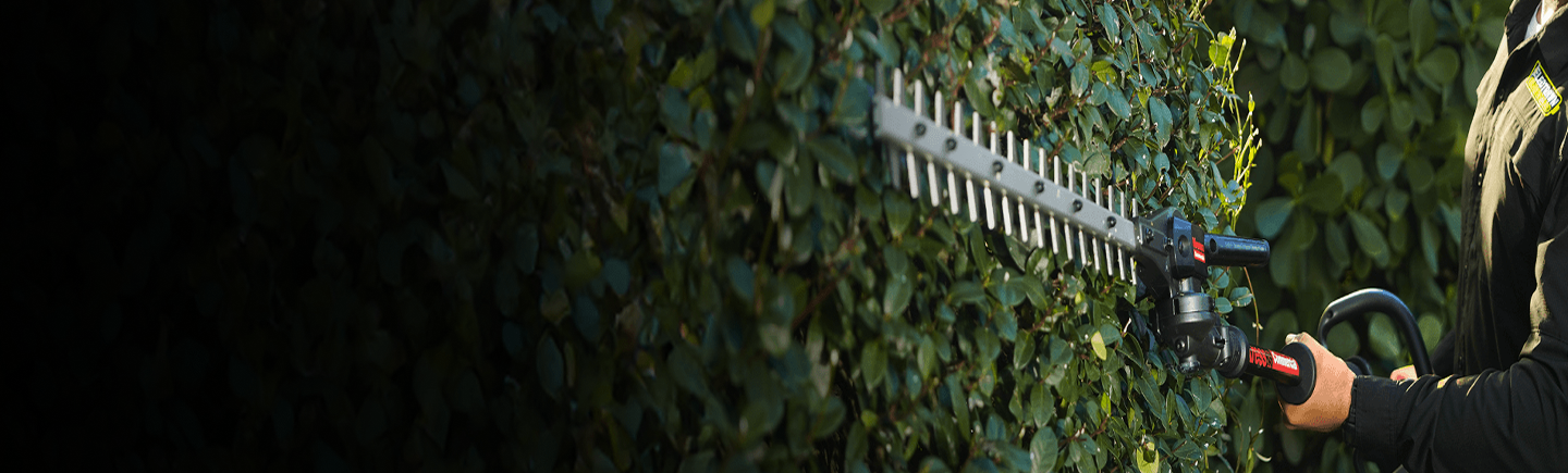Bush trimmer
